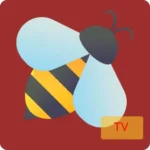 bee tv مهكر