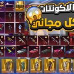 حسابات ببجي مجانا مضمون 100